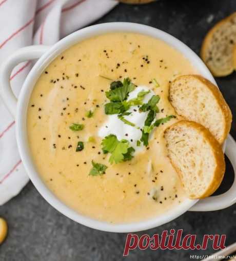 Сырный суп: 6 рецептов на любой вкус