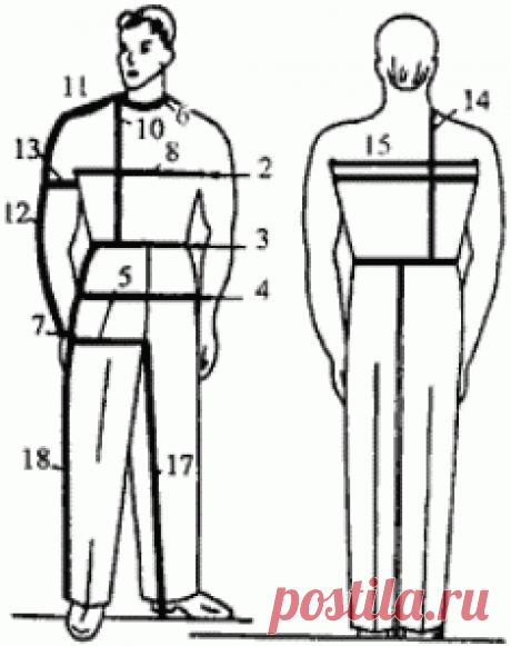 Как снимать мерки с мужчины