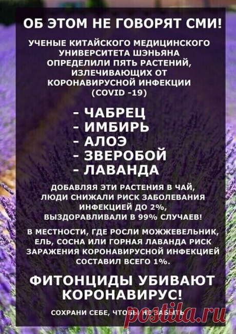 полезные  чаи