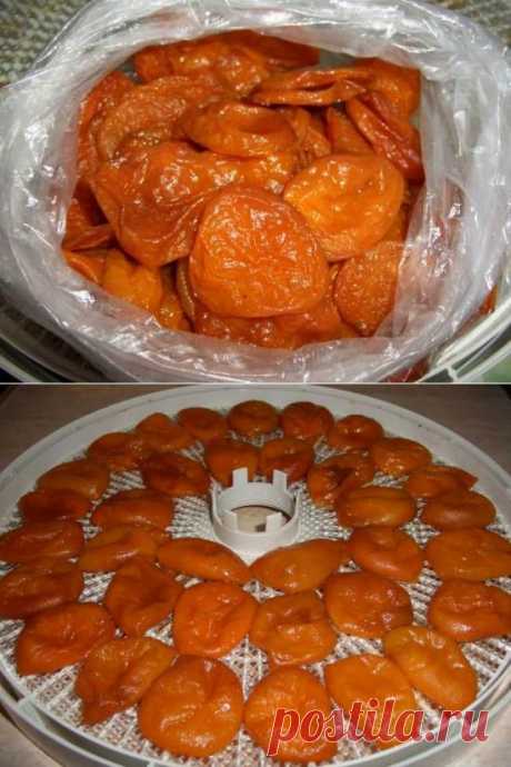 Рецепт вяленых абрикос