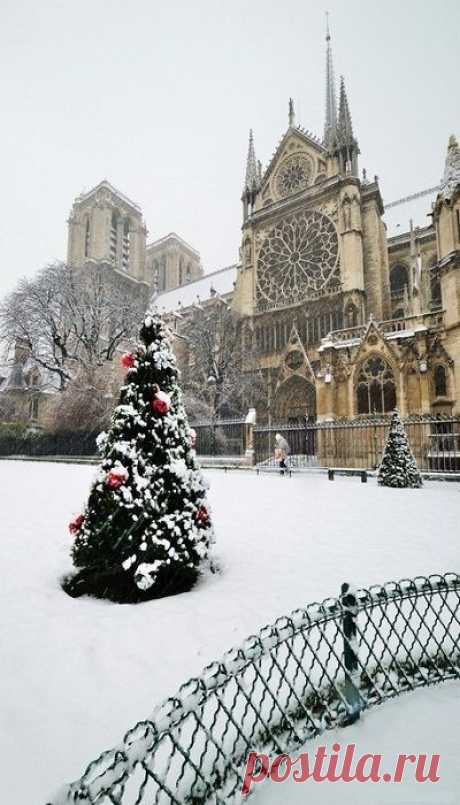 Собор Парижской Богоматери в Рождество