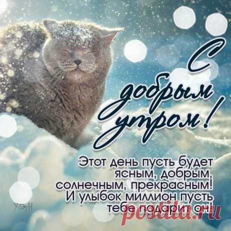 Доброе утро! Чудесного дня!! 😊