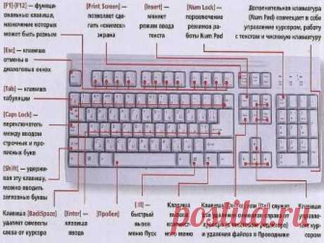 ЗНАЕТЕ ЛИ ВЫ КЛАВИАТУРУ НА СВОЁМ КОМПЬЮТЕРЕ?
---------------------------------------------------------------------------------------------------
F1— вызывает «справку» Windows или окно помощи активной программы. В Microsoft Word комбинация клавиш Shift+F1 показывает форматирование текста;

F2— переименовывает выделенный объект на рабочем столе или в окне проводника;

F3— открывает окно поиска файла или папки на рабочем столе и в проводнике. Комбинация клавиш Shift+F3 часто...