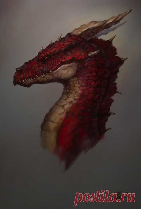 Пин содержит это изображение: maybe Smaug by Sindacollo on DeviantArt