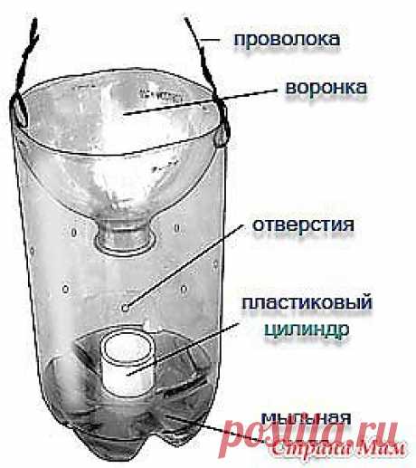 Ловушки для насекомых: Дневник группы &quot;Мой дом, моя семья - моя крепость.&quot; - Страна Мам