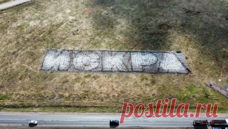 В Ленинградской области восстановят мемориальную рощу-геоглиф &quot;Искра&quot;. Мемориальная роща-геоглиф &quot;Искра&quot;, которая сгорела на Синявинских высотах в Ленинградской области, будет восстановлена совместными усилиями организаторов акции &quot;Сад памяти&quot; и руководства региона. Об этом сообщили ...