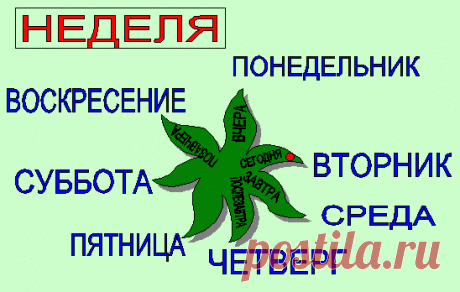 Госпожа неделя.