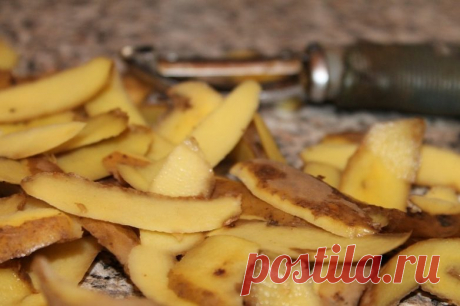 Картофельные очистки как средство от седины / Будьте здоровы