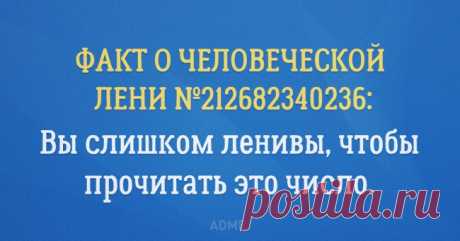 Как взять себя в руки: руководство для ленивых