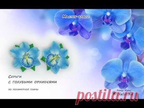 Орхидеи голубые
