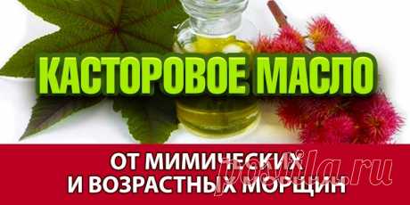 КАСТОРОВОЕ МАСЛО ОТ МИМИЧЕСКИХ И ВОЗРАСТНЫХ МОРЩИН - Без лекарств