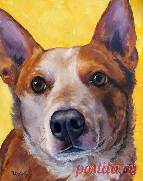 Australian cattle dog red heeler on yellow by Dottie Dracos Australian cattle dog red heeler on yellow Painting by Dottie Dracos