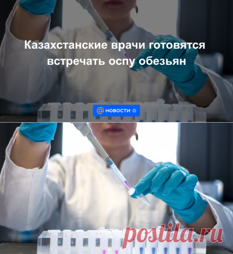 Казахстанские врачи готовятся встречать ОСПУ обезьян - Новости Mail.ru