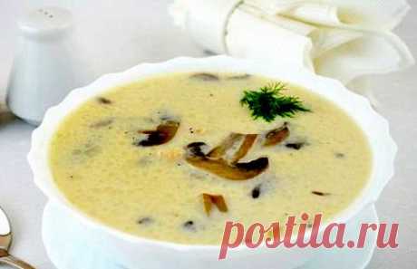Суп с грибами с плавленным сыром вкусный рецепт