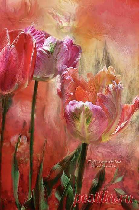 Tulips - Colors Of Love Mixed Media by Carol Cavalaris - Tulips - Colors Of Love Fine Art Prints and Posters for Sale