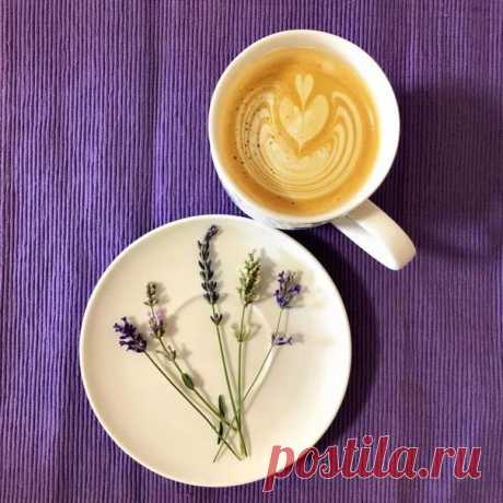 Доброе утро! 🤍

Пусть крепкий кофе пробудит истоки вдохновенья, а день как магнит притянет радость и везенье!