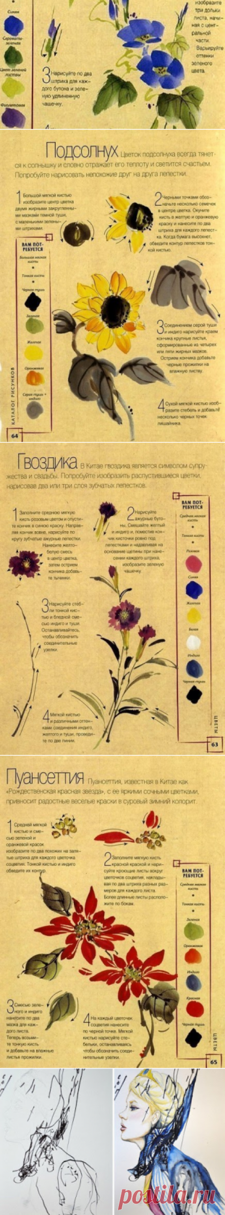 Не умеешь рисовать? Эта инструкция научит тебя создавать чудесные цветы без всяких трудностей.
