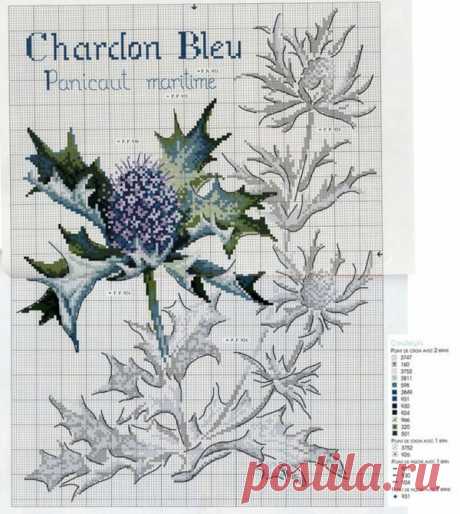 DFEA etude botanique cross stitch pattern.