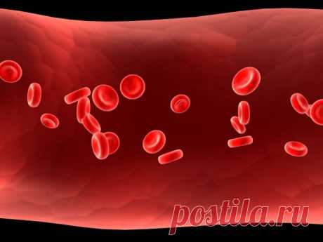 Как повысить гемоглобин в крови?