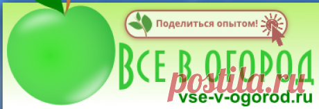 Чередование культур в огороде (что можно сажать после чего) | Просмотр сообщений.