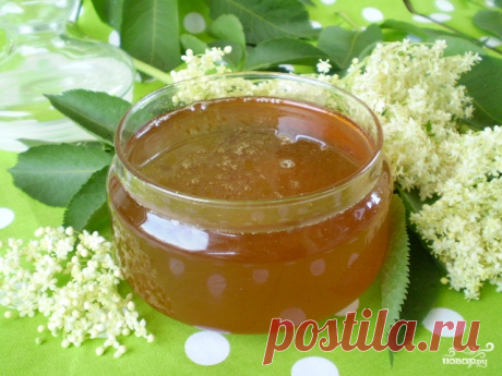 Мёд из бузины - пошаговый кулинарный рецепт с фото на Повар.ру