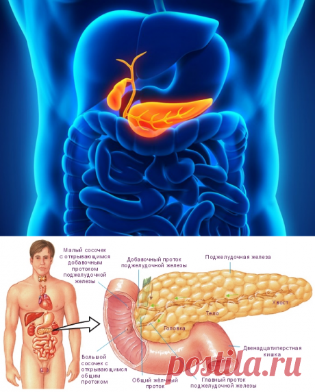 4 самых простых и эффективных рецепта для лечения поджелудочной железы, о которых врачи умалчивают