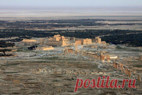 Руины Пальмиры — некогда одного из богатейших городов поздней античности, расположенного в оазисе Сирийской пустыни.