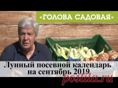 Голова садовая - Лунный посевной календарь на сентябрь 2019