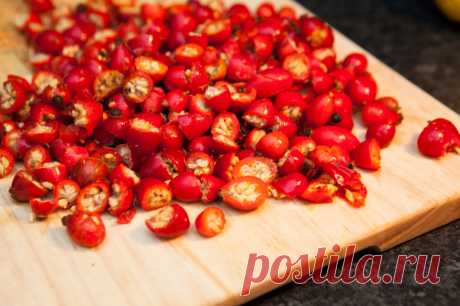 16 Reasons You Should Go Out Foraging For Rosehips Today