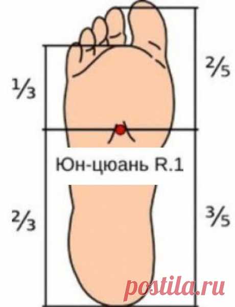 Бессмертные дышат стопами…