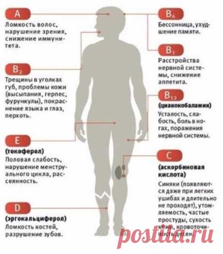 Выясняем, каких витаминов не хватает вашему организму