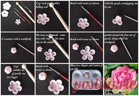 Cakeryblog: Tutorial - Lotus flower