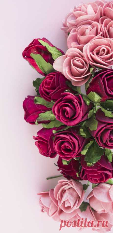 Розы обои на телефон красивые.