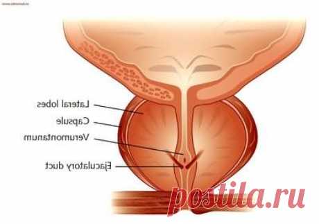Қалай тез созылмалы простатит емдеуге