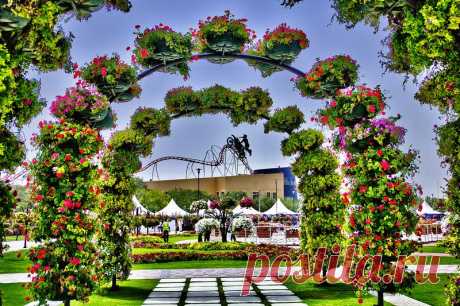 Dubai Miracle Garden - цветочное царство среди пустыни!