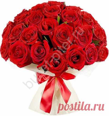 Букет из 21-ой Красной Розы. Купить с доставкой в Cпб