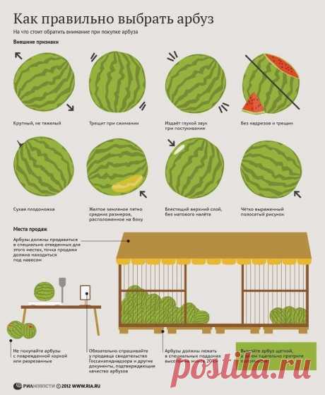Как правильно выбирать арбуз