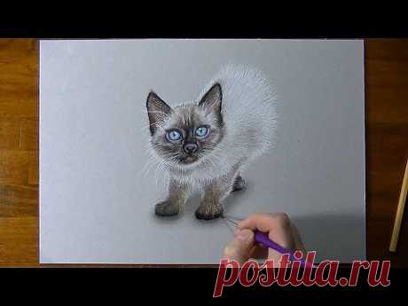 Kitten drawing - YouTube