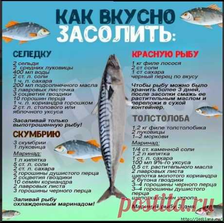 Как вкусно засолить рыбку к Новому году!