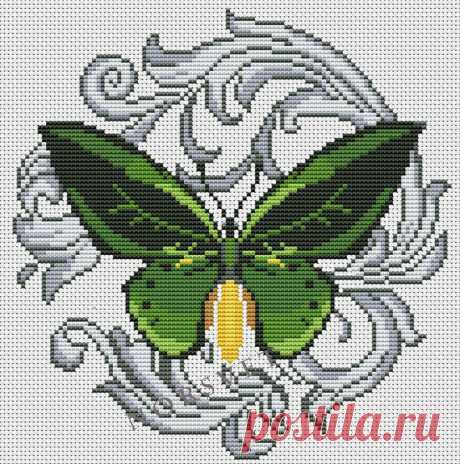 Gallery.ru / Green Birdwing - Бабочки - Norsvet