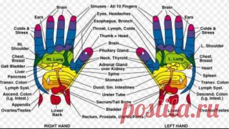 Если нажимать на эту точку на руке в течении 60 секунд, то произойдёт удивительное.. Если Вы тот человек, который не предпочитает принимать много лекарств, то эта информация именно для Вас. Наука по имени Рефлексология предлагает заменить использование лекарств с другими способами. Рефлексология представляет собой ручное воздействие на специфические области