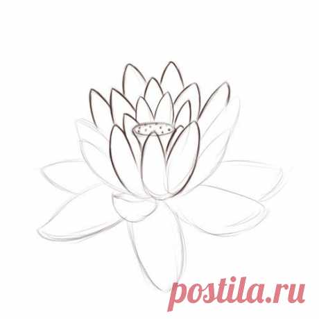 How to Draw a Lotus Flower