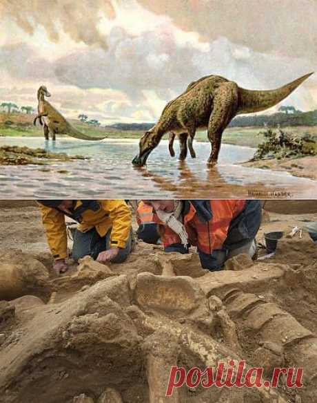 (+1) тема - Японские ученые раскопали скелет гадрозавра | НАУКА И ЖИЗНЬ