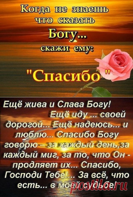 (87) Одноклассники