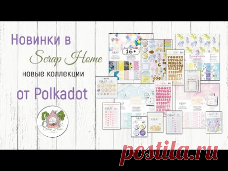 Новинки от Polkadot