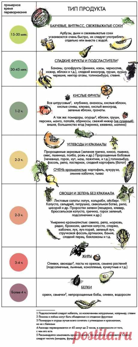 Примерное время переваривания продуктов