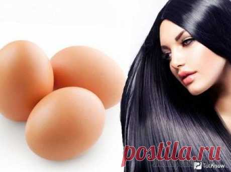 Маска для волос с яйцом — 8 лучших рецептов в домашних условиях