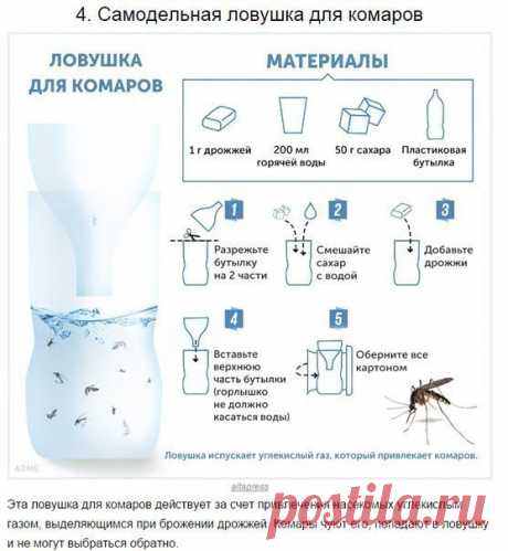 Борьба с комарами и их укусами — Делимся советами