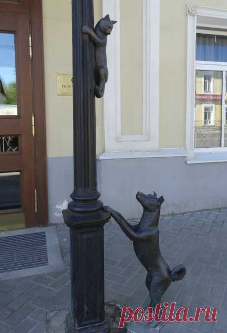 Кот и пёс
Кострома