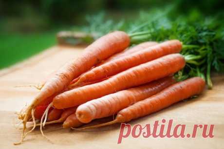 Рецепты здоровья: морковь для чистой и красивой кожи.